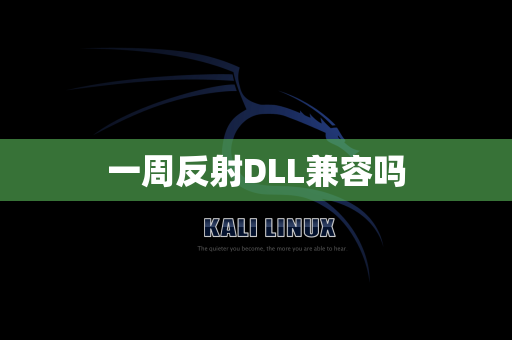 一周反射DLL兼容吗