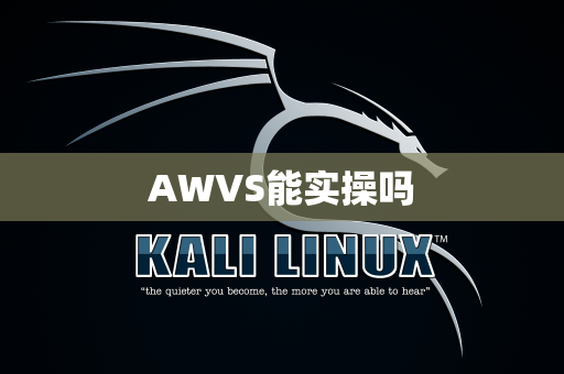 AWVS能实操吗