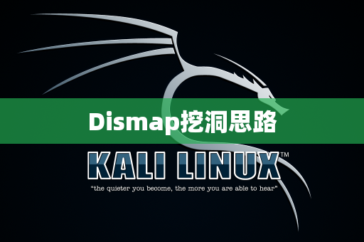 Dismap挖洞思路