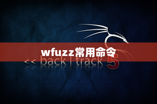 wfuzz常用命令