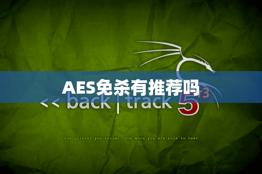 AES免杀有推荐吗