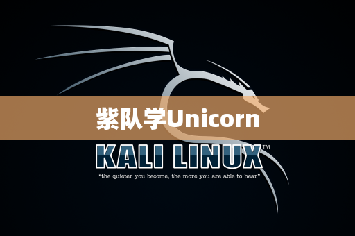 紫队学Unicorn