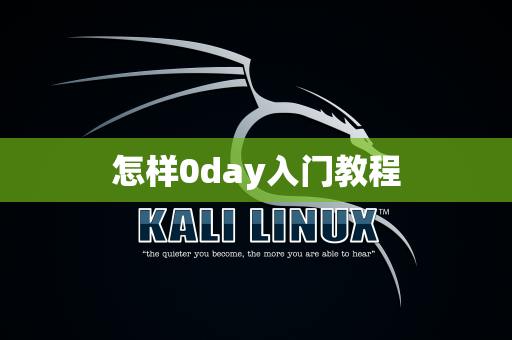 怎样0day入门教程