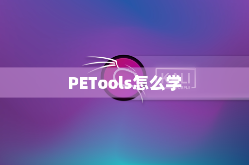 PETools怎么学