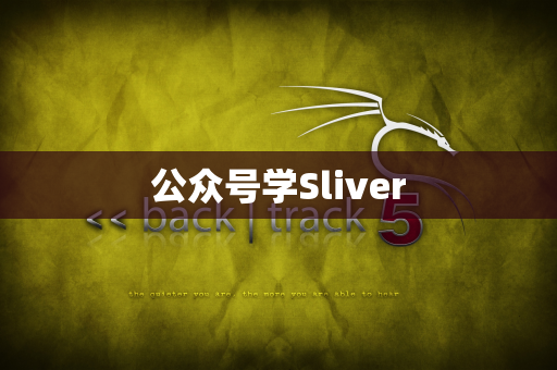 公众号学Sliver