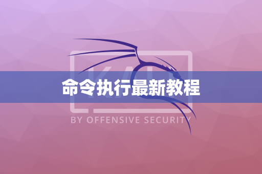 命令执行最新教程