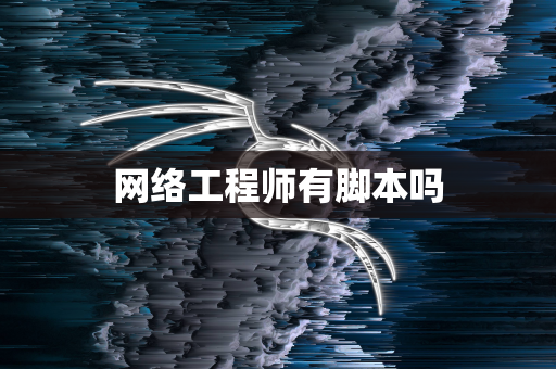 网络工程师有脚本吗