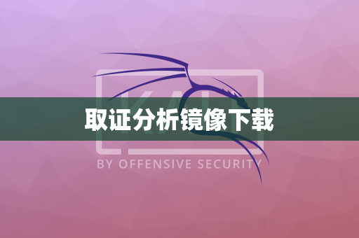 取证分析镜像下载