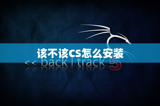 该不该CS怎么安装