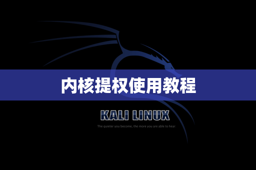 内核提权使用教程
