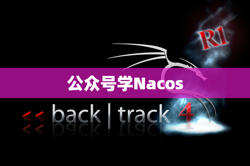 公众号学Nacos