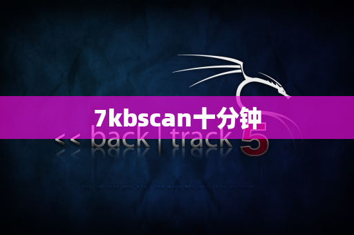 7kbscan十分钟