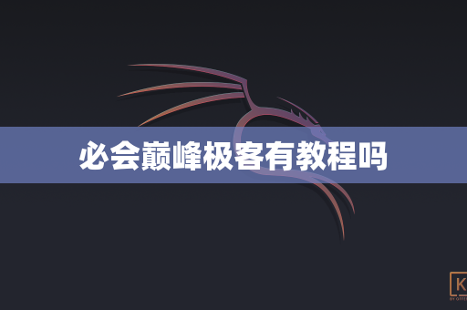 必会巅峰极客有教程吗