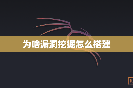 为啥漏洞挖掘怎么搭建