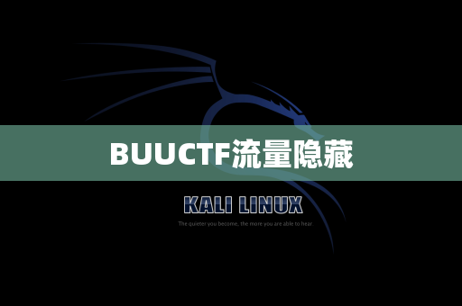 BUUCTF流量隐藏