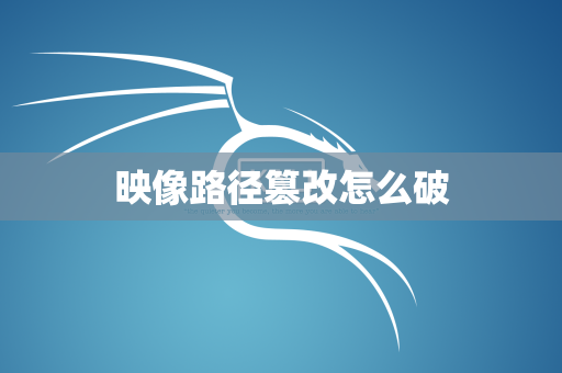 映像路径篡改怎么破