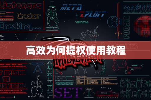 高效为何提权使用教程