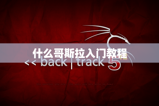 什么哥斯拉入门教程