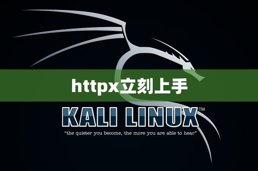 httpx立刻上手