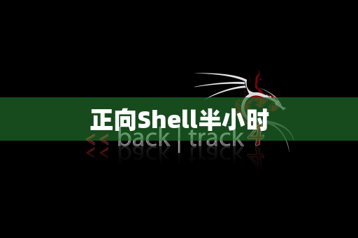 正向Shell半小时