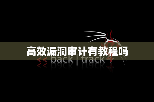 高效漏洞审计有教程吗