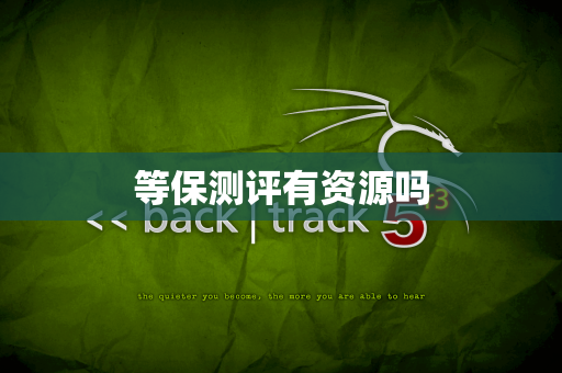 等保测评有资源吗