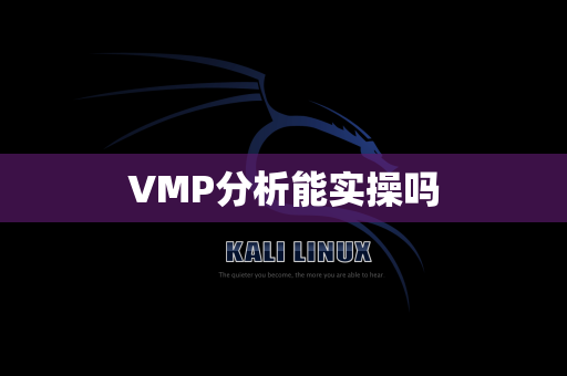 VMP分析能实操吗