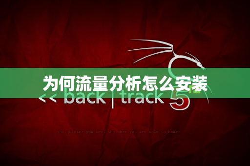 为何流量分析怎么安装