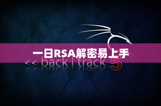 一日RSA解密易上手