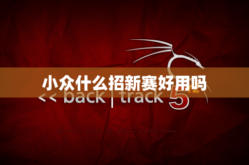 小众什么招新赛好用吗