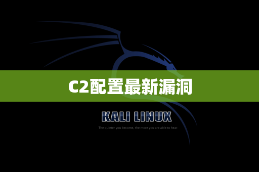 C2配置最新漏洞