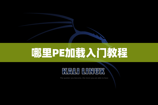 哪里PE加载入门教程