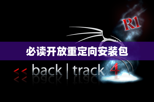 必读开放重定向安装包