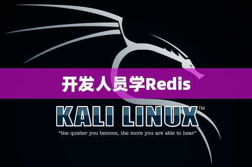 开发人员学Redis