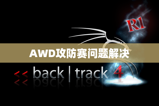AWD攻防赛问题解决