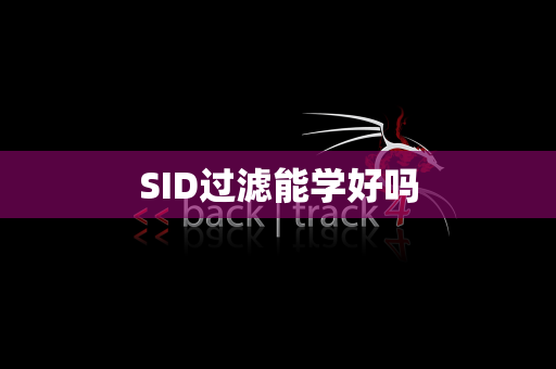 SID过滤能学好吗