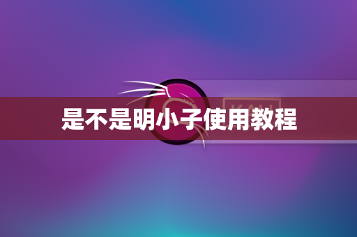 是不是明小子使用教程
