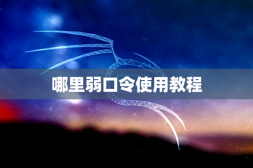 哪里弱口令使用教程