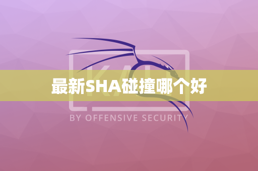 最新SHA碰撞哪个好