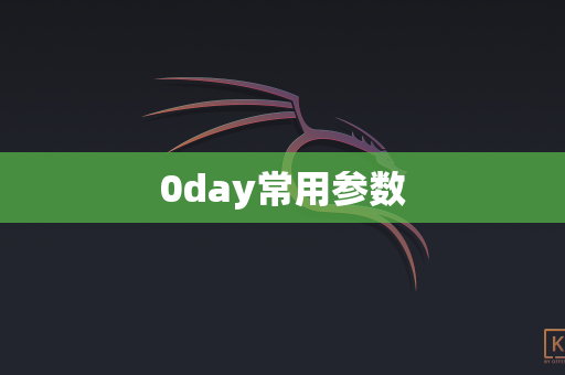 0day常用参数