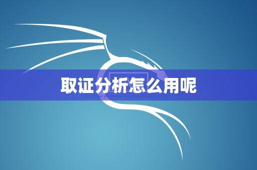 取证分析怎么用呢