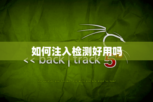 如何注入检测好用吗