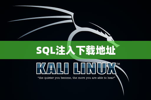 SQL注入下载地址