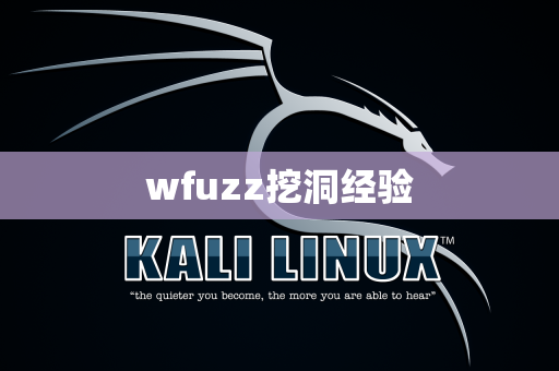 wfuzz挖洞经验