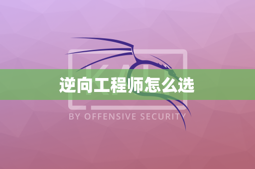逆向工程师怎么选