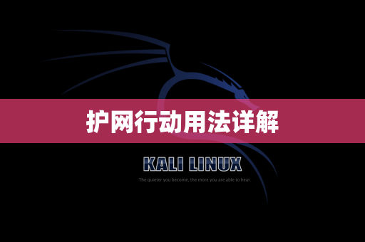 护网行动用法详解