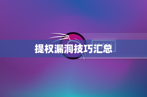 提权漏洞技巧汇总