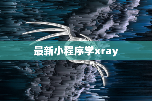 最新小程序学xray