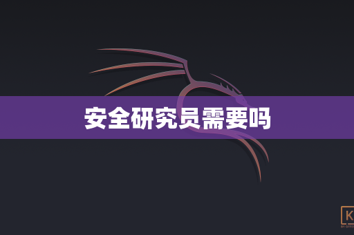 安全研究员需要吗
