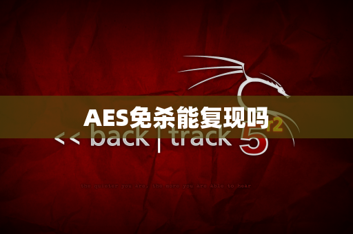AES免杀能复现吗